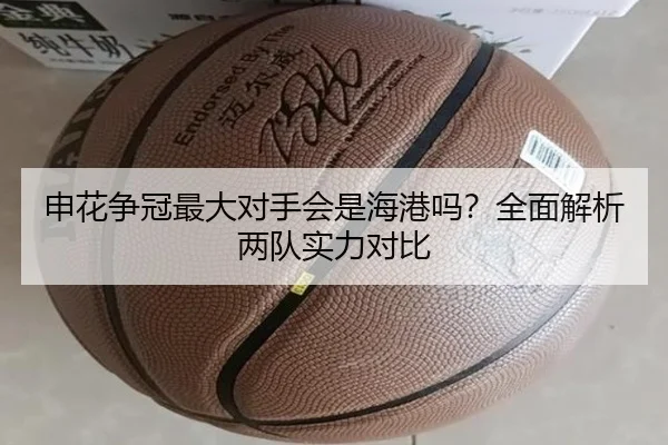 申花争冠最大对手会是海港吗？全面解析两队实力对比